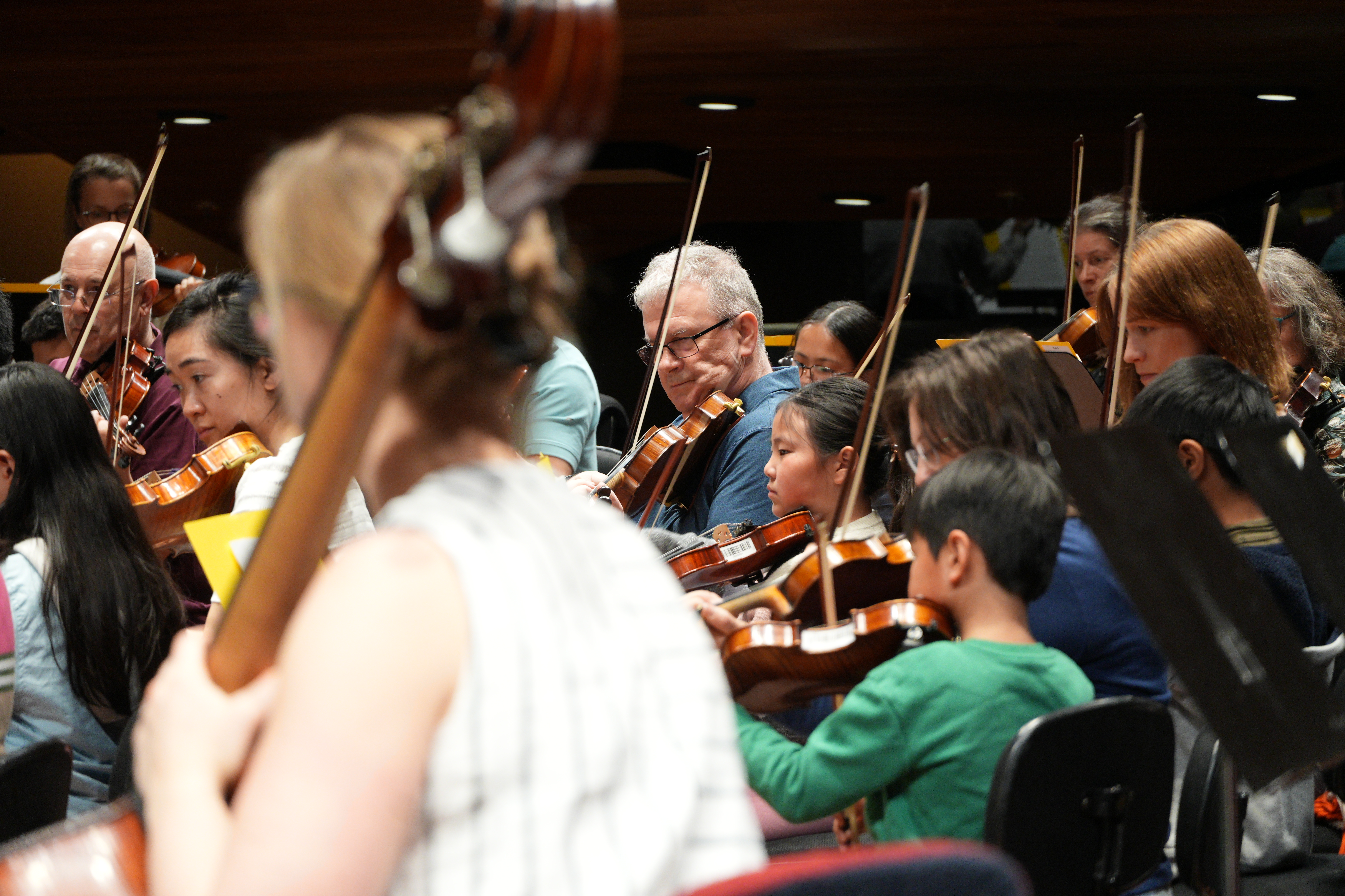 Violin section playing